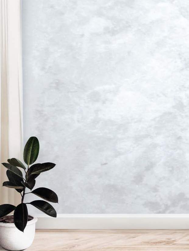 06_Veneziano Naturale argento.jpg